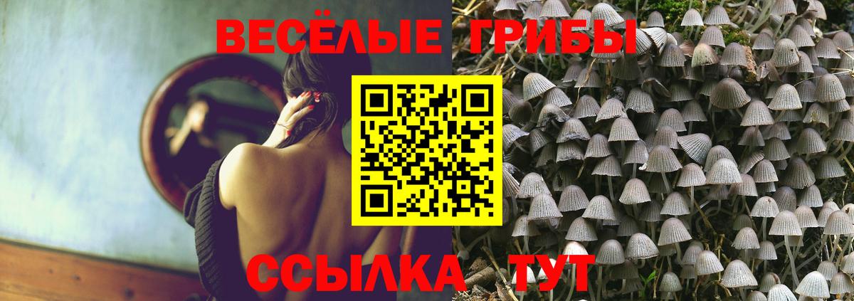 Луга  Псилоцибиновые грибы Psilocybine cubensis  Вход с VPN 