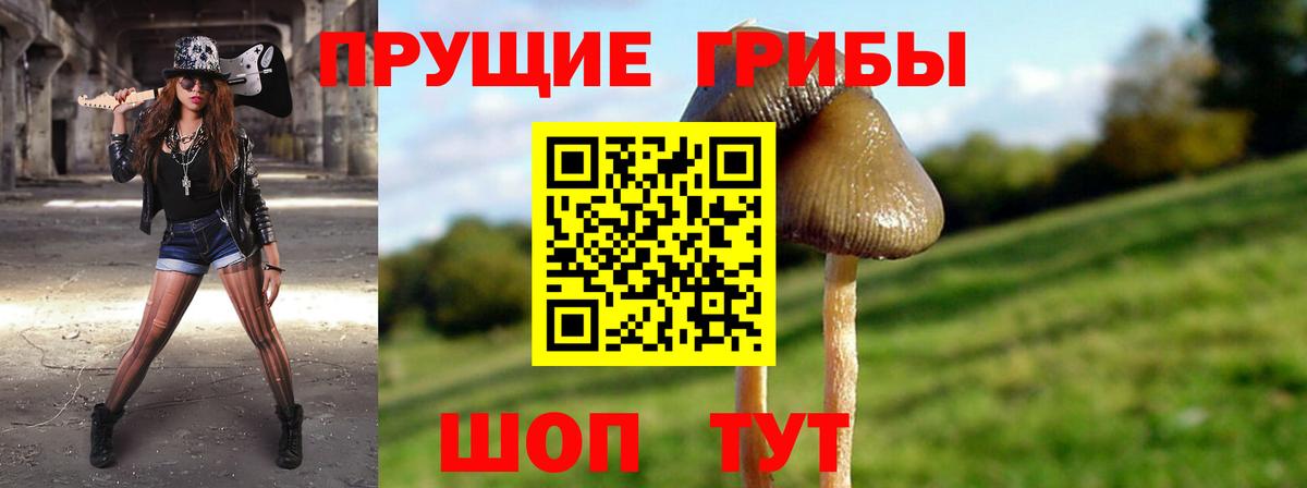 Галлюциногенные грибы мухоморы Луга